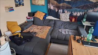 Abbildung: Wohnlandschaft 